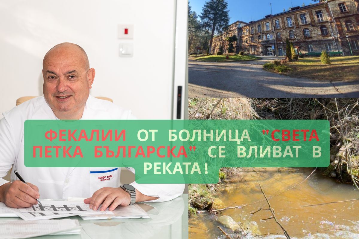 Цветан Дафов