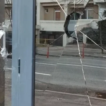 Корумпираната съдия, която прецаква депутатка: как Ирена Венкова завзе земята на Росица Кирова до Белоградчишките скали