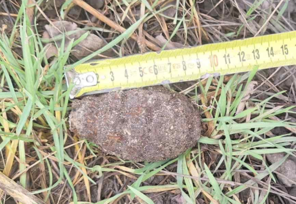 Военни унищожиха корозирала ръчна граната в гараж в Бургас