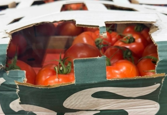 Митници спрели 14,2 тона зеленчуци в транзитен тир към Украйна